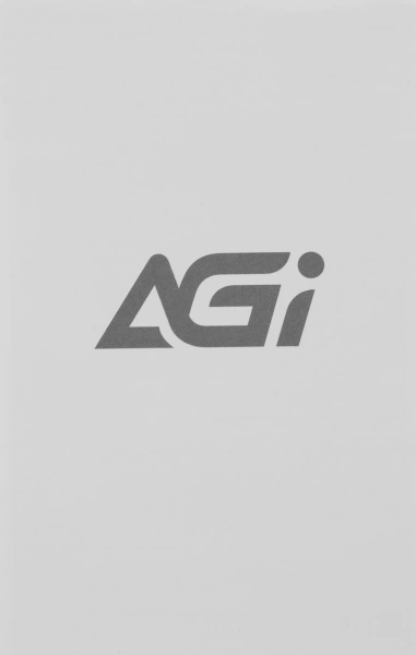 Накопитель SSD AGi PCIe 3.0 x4 512GB AGI512G80AI198R AI198 M.2 2280