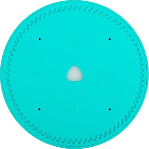 Умная колонка Yandex Станция Лайт голос.п.:Алиса бирюзовый 5W 1.0 BT 10м (YNDX-00025G)