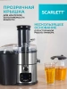Соковыжималка центробежная Scarlett SC-JE50S62 1600Вт рез.сок.:1000мл. серебристый/черный