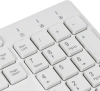 Клавиатура Оклик 500M белый USB slim Multimedia