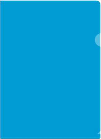 Папка-уголок Бюрократ Economy -E100A тисненый A4 пластик 0.10мм ассорти