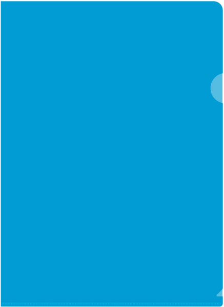 Папка-уголок Бюрократ Economy -E100A тисненый A4 пластик 0.10мм ассорти