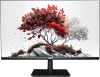 Монитор RDW Computers 27" RDW2701K черный IPS 5ms 16:9 HDMI 1000:1 300cd 178гр/178гр 1920x1080 100Hz VGA DP FHD (RUS)