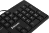 Клавиатура Defender Element HB-520 черный USB
