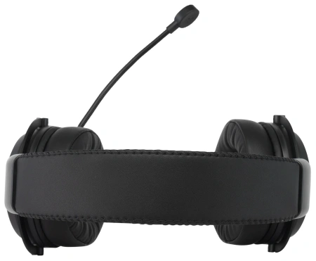 Наушники с микрофоном Acer AHW120 черный 2.1м мониторные USB оголовье (ZL.HDSCC.01C)