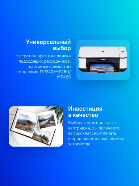 Картридж струйный Canon PG-510 2970B007 черный для Canon MP240/MP260/MP480