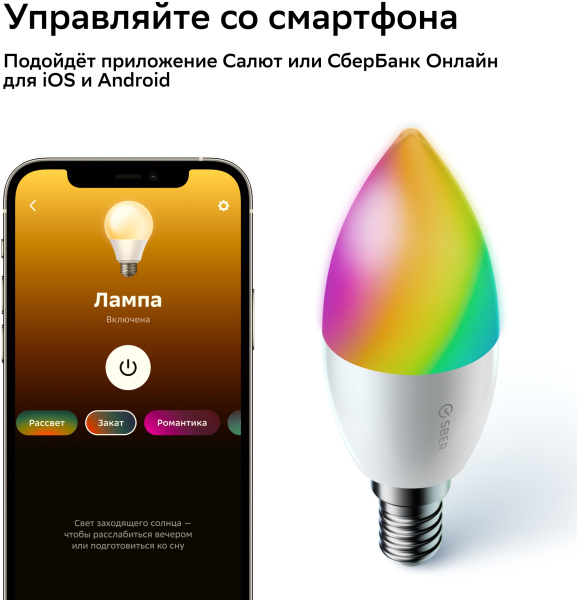 Комплект Sber SBDV-00135