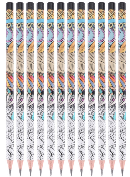 Набор карандашей ч/г Deli EU53300 Arti Graff 2B шестигран. тополь рисунок кор.европод. (12шт)