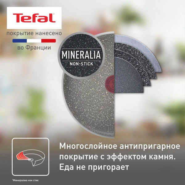 Сковорода Tefal Natural Cook 04234924 24см (с крышкой) (9100052848)