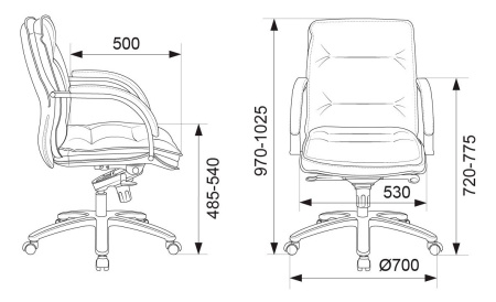 Кресло руководителя Бюрократ T-9927SL-LOW черный кожа низк.спин. крестов. металл хром