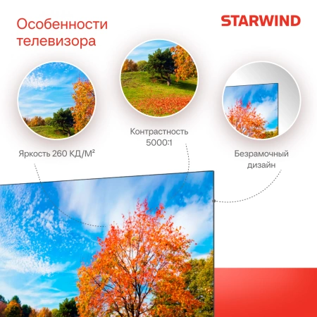 Телевизор LED Starwind 55" SW-LED55UG403 Яндекс.ТВ Frameless черный 4K Ultra HD 60Hz DVB-T DVB-T2 DVB-C DVB-S DVB-S2 USB WiFi Smart TV