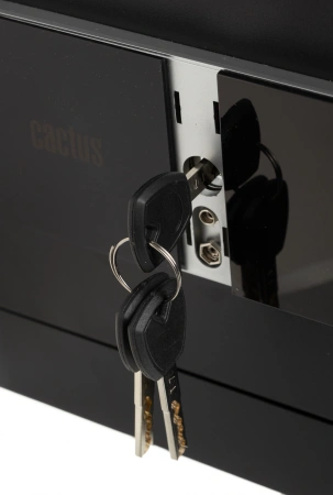 Сейф мебельный Cactus CS-SF-T25 250x350x300мм электронный