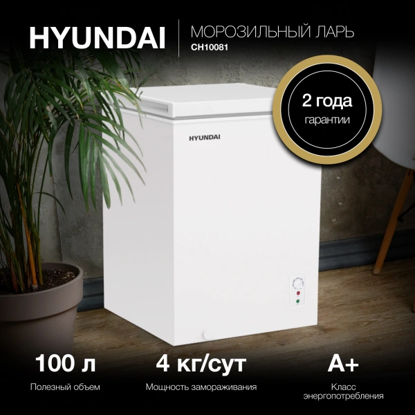 Морозильный ларь Hyundai CH10081 белый 70Вт