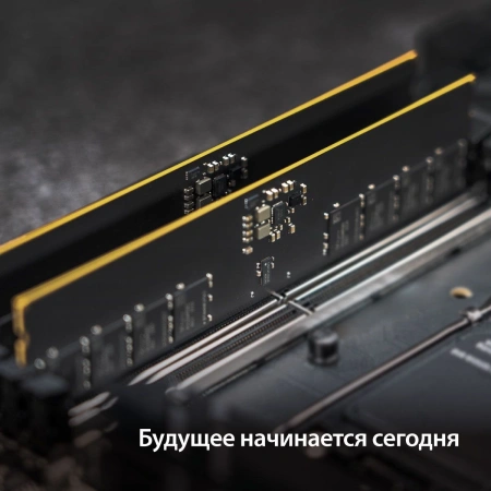 Память DDR5 16GB 6400MHz Patriot PSD516G64081C Signature RTL PC5-51200 CL52 DIMM 288-pin 1.1В single rank Ret