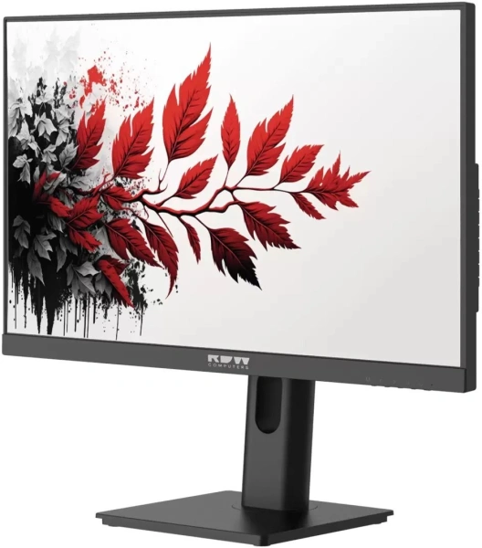 Монитор RDW Computers 27" RDW2701K черный IPS 5ms 16:9 HDMI HAS Piv 1000:1 300cd 178гр/178гр 2560x1440 DP QHD USB 1.7кг (RUS)
