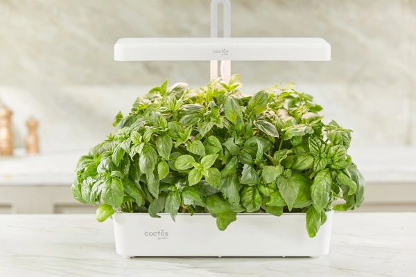 Гидропонная установка Cactus Garden CS-LEDPOT-10 2л 20Вт белый