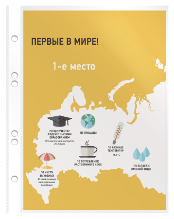 Папка-вкладыш Бюрократ Премиум -013A5 глянцевые А5 30мкм (упак.:100шт)