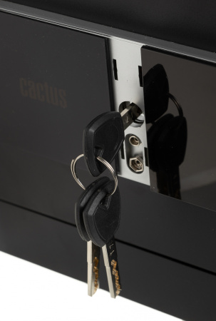 Сейф мебельный Cactus CS-SF-T25 250x350x300мм электронный