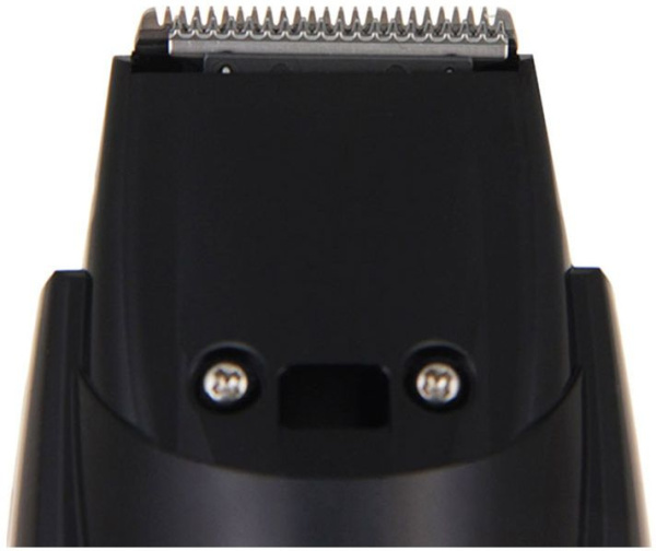 Триммер Panasonic ER-GB42-K520 черный (насадок в компл:1шт)