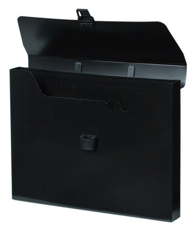 Портфель Бюрократ DeLuxe DLPP01BLCK 1 отдел. A4 пластик 0.7мм черный