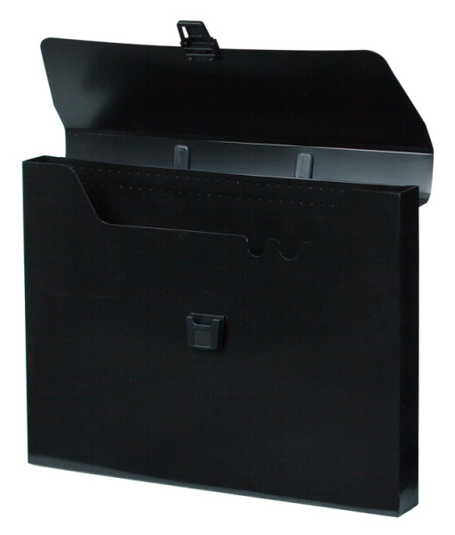 Портфель Бюрократ DeLuxe DLPP01BLCK 1 отдел. A4 пластик 0.7мм черный