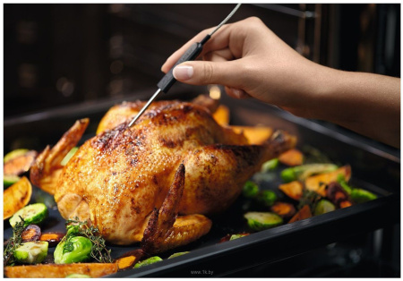 Духовой шкаф Электрический Electrolux EOB7S31Z черный