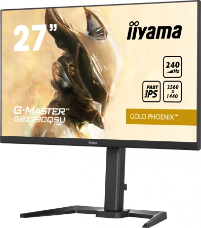 Монитор Iiyama 27" GB2790QSU-B5 IPS чер 1ms HDMI DP USB M/M HAS Piv 240Hz 400cd