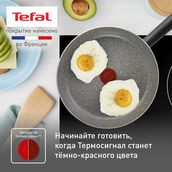 Сковорода Tefal Natural Cook 04213124 круглая 24см ручка несъемная (без крышки) серый