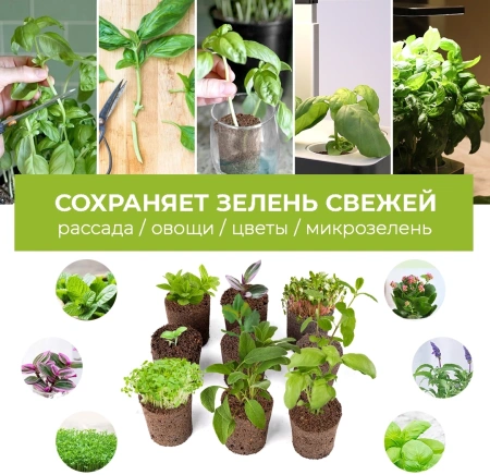 Набор питательных губок Cactus CS-SPONGE-10 для проращивания для CS-LEDPOT-06/08/10 (упак.:10шт) пакет