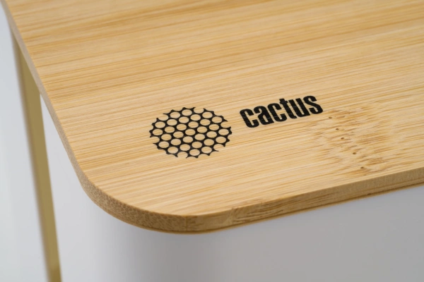 Органайзер Cactus CS-BOX-WH белый/бамбук
