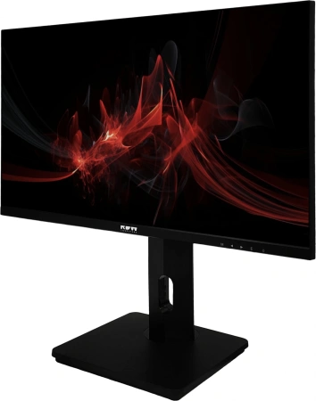 Монитор RDW Computers 23.8" RDW2423K черный IPS 5ms 16:9 HDMI матовая HAS Piv 1000:1 250cd 178гр/178гр 1920x1080 75Hz DP FHD 5.35кг (RUS)