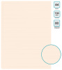 Папка с 80 прозр.вклад. Бюрократ DeLuxe DLVBOX80MILK A4 пластик 0.7мм молочный в коробе