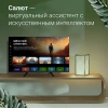 Телевизор LED Digma 32" DM-LED32SBB34 Smart Салют ТВ Frameless черный/HD/DVB-T/60Hz/DVB-T2/DVB-C/DVB