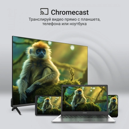 Телевизор QLED Digma 65" DM-LED65UQB31 Google TV Frameless Metal черный/черный 4K Ultra HD 60Hz MEMC DVB-T DVB-T2 DVB-C DVB-S DVB-S2 USB WiFi Smart TV