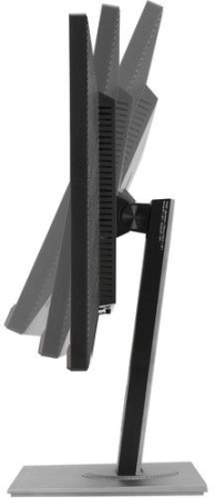 Монитор Asus 24.1" ProArt PA248QV черный IPS LED 16:10 HDMI M/M матовая HAS Piv 300cd 1920x1200 75Hz VGA DP FHD USB 6.1кг