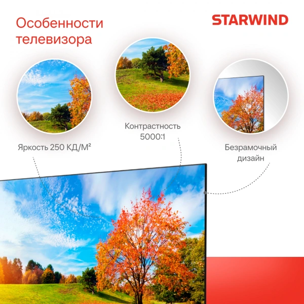 Телевизор LED Starwind 43" SW-LED43UG405 Яндекс.ТВ Frameless черный 4K Ultra HD 60Hz DVB-T DVB-T2 DVB-C DVB-S DVB-S2 USB WiFi Smart TV