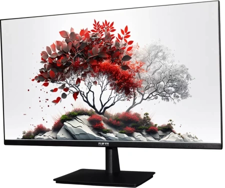 Монитор RDW Computers 27" RDW2701K черный IPS 5ms 16:9 HDMI 1000:1 300cd 178гр/178гр 1920x1080 100Hz VGA DP FHD (RUS)