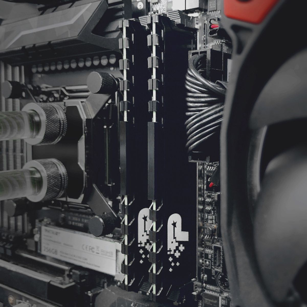 Память DDR4 16Gb 3200MHz Patriot PSP416G32002H1 Signature Premium RTL PC4-25600 CL22 DIMM 288-pin 1.2В dual rank с радиатором Ret