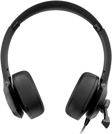 Наушники с микрофоном Acer OHW309 черный 1.6м накладные USB (ZL.HDSEE.004)