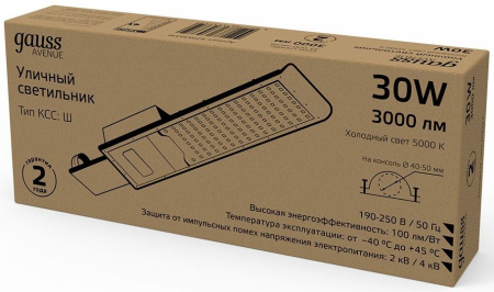 Светильник консольный Gauss 629534330 30Вт ламп.:30шт черный