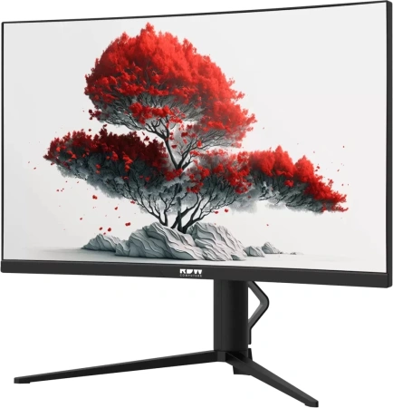 Монитор RDW Computers 27" RDW2706C (Q03В375V2A1) черный VA 5ms 16:9 HDMI M/M матовая HAS Piv 4000:1 300cd 178гр/178гр 2560x1440 75Hz DP 2K USB (RUS)