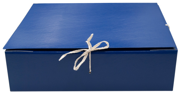 Папка архивная 4 завязки Silwerhof КБЗ-4-80Р бумвинил корешок 80мм разобранный A4 ассорти