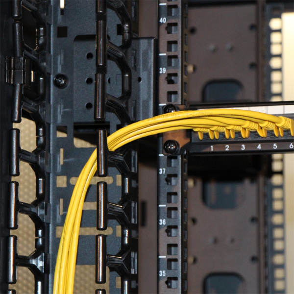 Кабельный органайзер вертикальный Lanmaster TWT-CBB-DVO-42U/M односторонний пальцы 42U шир.:19" глуб.:155мм (упак.:2шт)