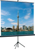 Экран на треноге Lumien 200x200см Eco View LEV-100103 1:1 напольный рулонный