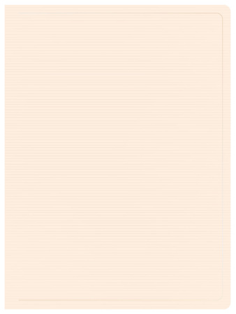 Папка с 100 прозр.вклад. Бюрократ DeLuxe DLVBOX100MILK A4 пластик 0.7мм молочный в коробе