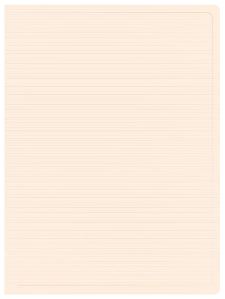 Папка с 100 прозр.вклад. Бюрократ DeLuxe DLVBOX100MILK A4 пластик 0.7мм молочный в коробе