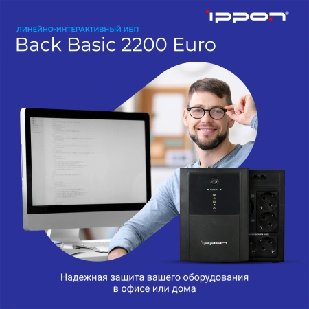 Источник бесперебойного питания Ippon Back Basic 2200 Euro 1320Вт 2200ВА черный