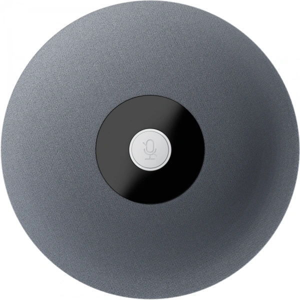 Микрофон Sber SDMIC-001 Микрофон с поддержкой каскадирования (SDMIC-001)