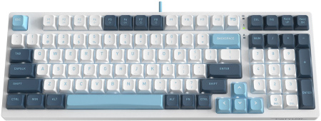 Клавиатура A4Tech Fstyler FS300 механическая белый/синий USB for gamer LED (FS300 PANDA SNOWBOARDING