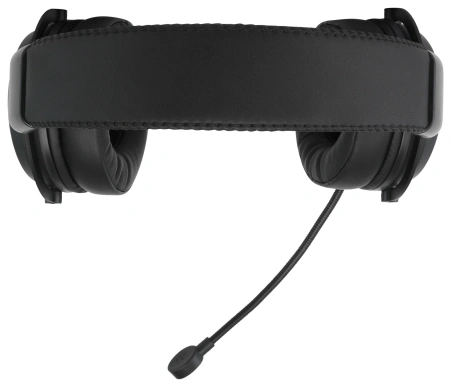 Наушники с микрофоном Acer AHW120 черный 2.1м мониторные USB оголовье (ZL.HDSCC.01C)